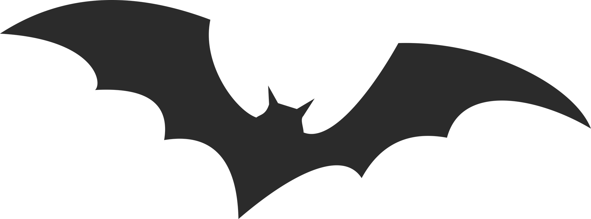 Halloween black bat.
